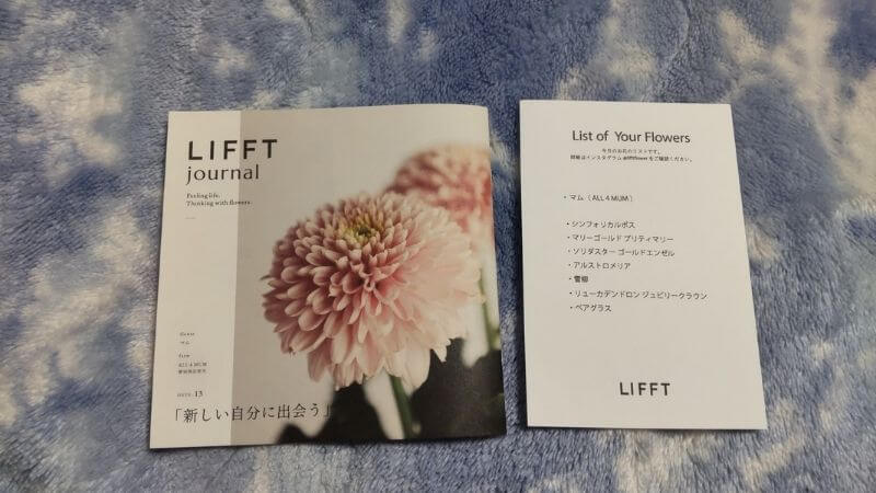 lifft7