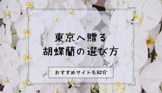 胡蝶蘭を東京へ贈る際のおすすめ販売店10選！選び方や注意点を徹底解説！