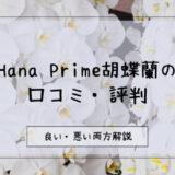 【評判悪い？】Hana Primeの胡蝶蘭に関する口コミを徹底調査！