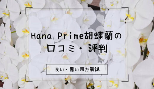 【評判悪い？】Hana Primeの胡蝶蘭に関する口コミを徹底調査！