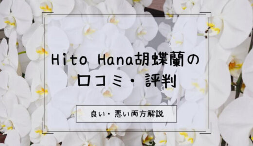 【評判悪い？】Hito Hanaの胡蝶蘭に関する口コミを徹底調査！