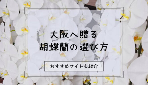 胡蝶蘭を大阪へ贈る際のおすすめ販売店10選！選び方や注意点を徹底解説！
