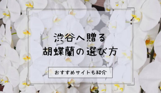 胡蝶蘭を渋谷へ贈る際のおすすめ販売店10選！選び方や注意点を徹底解説！