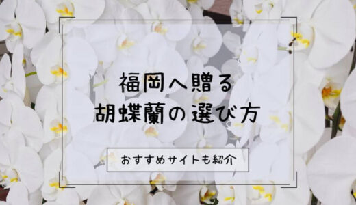 胡蝶蘭を福岡へ贈る際のおすすめ販売店10選！選び方や注意点を徹底解説！