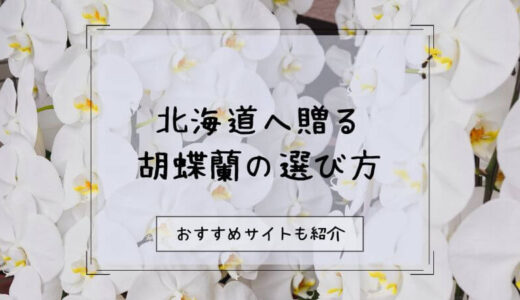胡蝶蘭を北海道へ贈る際のおすすめ販売店10選！選び方や注意点を徹底解説！