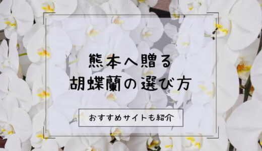 胡蝶蘭を熊本へ贈る際のおすすめ販売店10選！選び方や注意点を徹底解説！