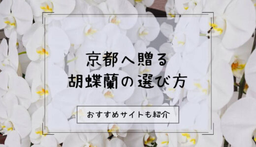 胡蝶蘭を京都へ贈る際のおすすめ販売店10選！選び方や注意点を徹底解説！