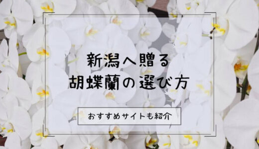 胡蝶蘭を新潟へ贈る際のおすすめ販売店10選！選び方や注意点を徹底解説！