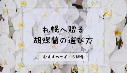 胡蝶蘭を札幌へ贈る際のおすすめ販売店10選！選び方や注意点を徹底解説！