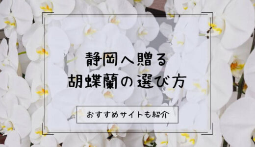 胡蝶蘭を静岡へ贈る際のおすすめ販売店10選！選び方や注意点を徹底解説！