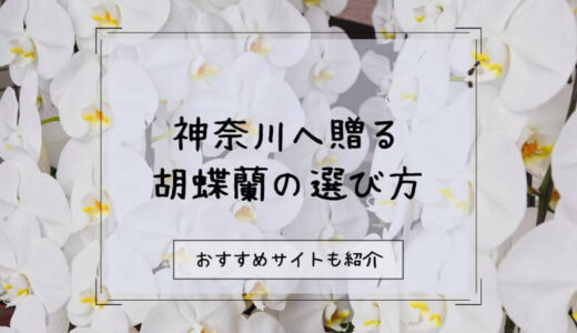 胡蝶蘭を神奈川へ贈る際のおすすめ販売店10選！選び方や注意点を徹底解説！