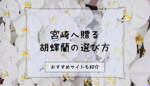 胡蝶蘭を宮崎へ贈る際のおすすめ販売店10選！選び方や注意点を徹底解説！