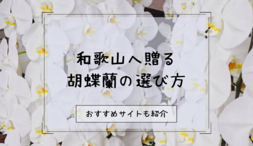 胡蝶蘭を和歌山へ贈る際のおすすめ販売店10選！選び方や注意点を徹底解説！